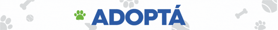 Banner publicitario